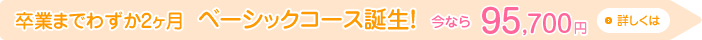 ドッグトリマー基礎講座 誕生！