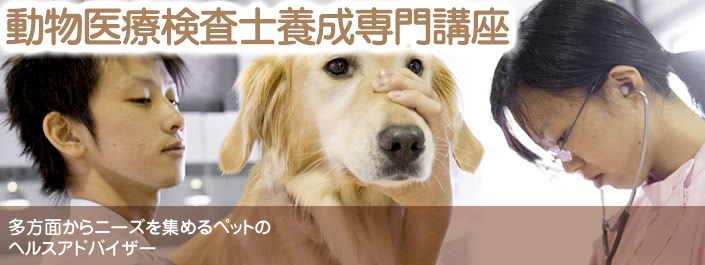 動物医療検査士養成専門講座