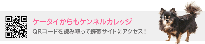 ケータイからもケンネルカレッジ