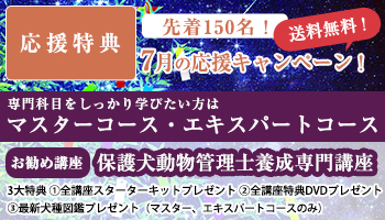 特典バナー