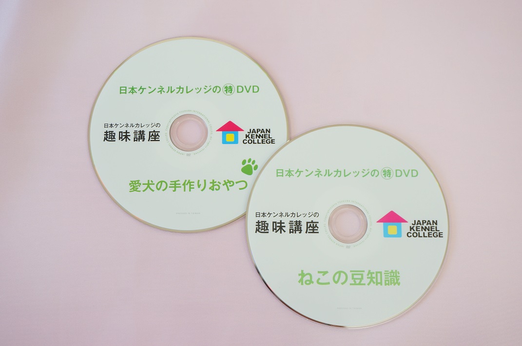 ２月の応援キャンペーンも最終日です！
