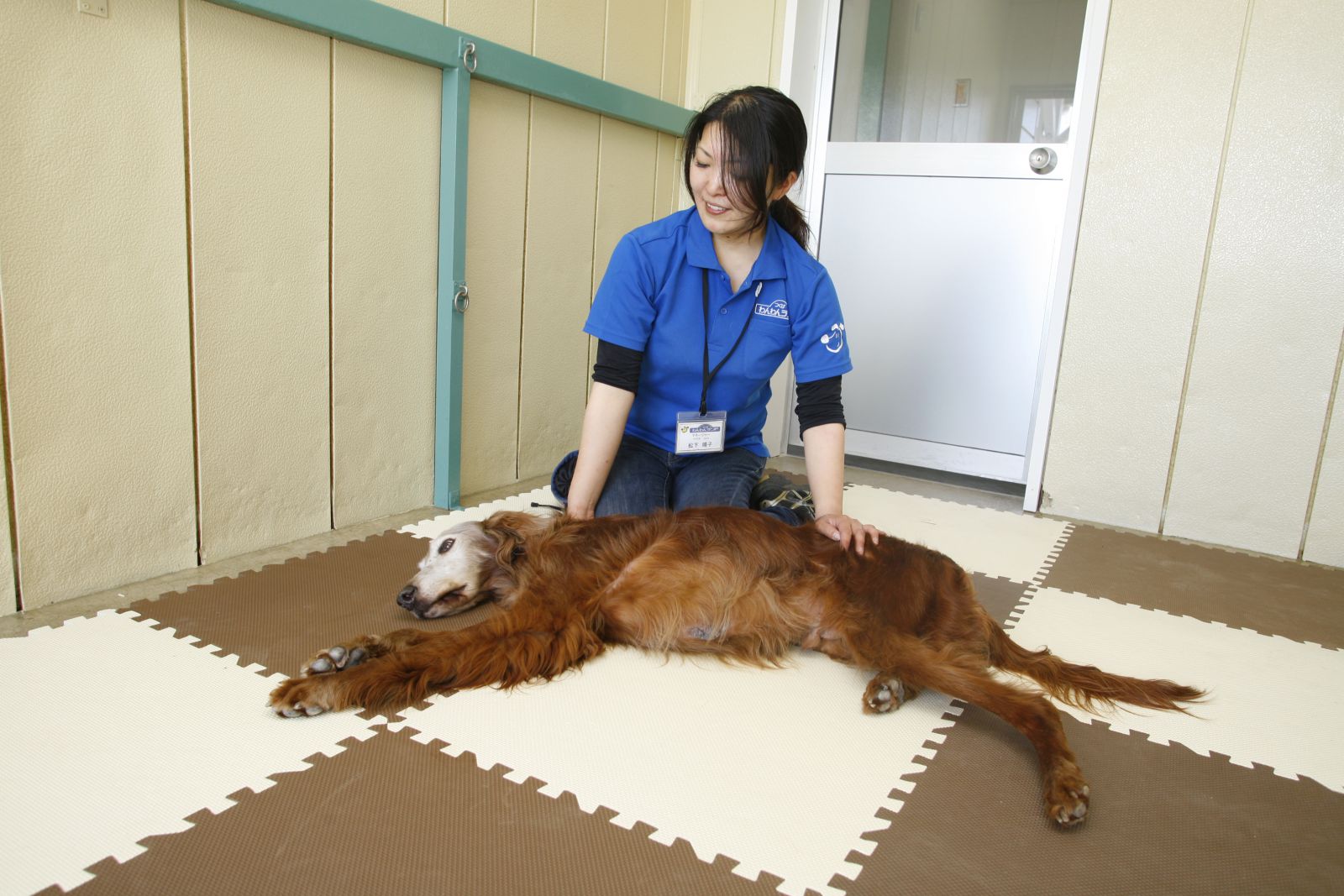 第２１期実技スクーリング予定⑤老犬介護士コース