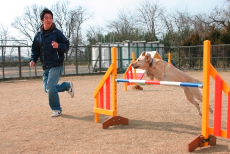 愛犬に注意したい４大トラブル(^^♪